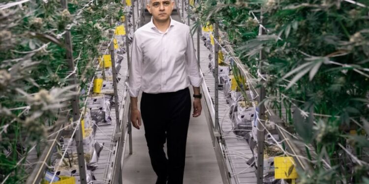 Alcalde de Londres recomienda la legalización del cannabis