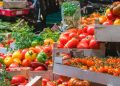 tomates-contaminados-reino-unido