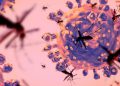 alerta-sanitaria-virus-oropouche-reino-unido