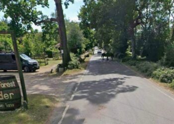 Hallan muertos a dos personas tras festival de sidra