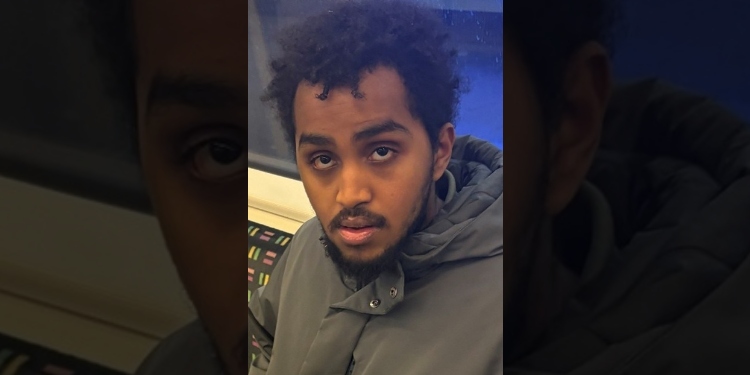 hombre atacó sexualmente mujer tren Londres