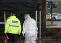 muerte de un menor en Guildford