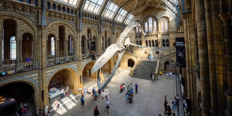 cobro museos Londres turistas
