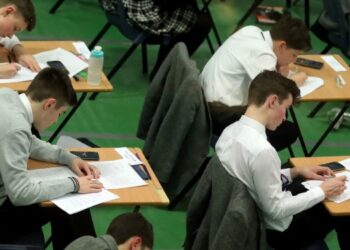 GCSE gratuitos para educación en casa