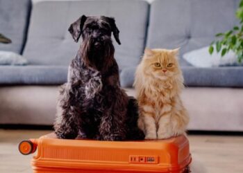 pasaporte mascotas Unión Europea