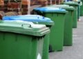 46 libras por su basura