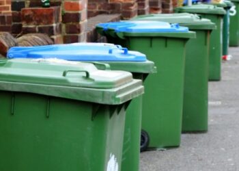 46 libras por su basura