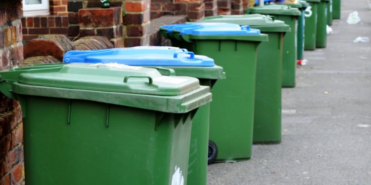 46 libras por su basura