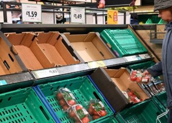 precios de los alimentos